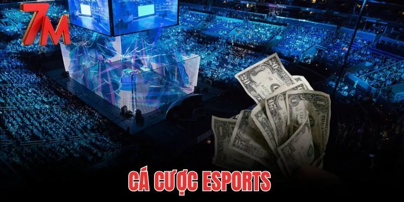 Cá Cược eSports - Cách Đọc Kèo LOL Dota 2 Chuẩn Tại 7M