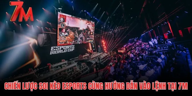 Chiến lược quản trị rủi ro khi tham gia cá cược eSports